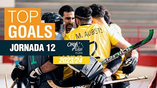 🏒 🥅 GOLS OK LLIGA PLATA 202324  JORNADA 1️⃣2️⃣ [upl. by Ilrebma346]