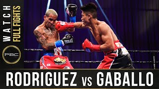 Rodriguez vs Gaballo FULL FIGHT December 19 2020  PBC on SHOWTIME [upl. by Hogarth]