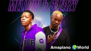 Mellow amp Sleazy Felo Le Tee  Phinda ft Dbn Gogo JaydenVumusiq amp chicco Oficial audio [upl. by Yelsnya]