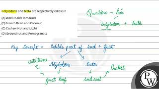 Cotyledons and testa are respectively edible in [upl. by Alisia]