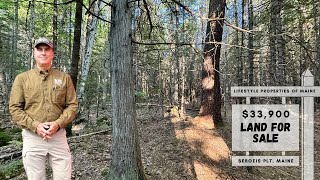 Land with Stream Access for 33900  Maine Real Estate [upl. by Augustine]