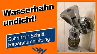 Wasserhahn undicht Reparaturanleitung zum Austausch des Hahnoberteils [upl. by Isola683]