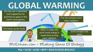 Pollution  Global Warming  GCSE Biology 91 [upl. by Wilma]