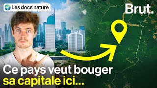 Une capitale futuriste géante… en pleine forêt [upl. by Mita]