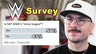 I Surveyed WWE Fans and These Are the Results [upl. by Balfour]