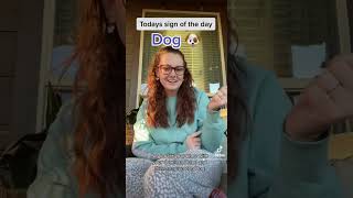 Learn How To Sign Dog in ASL for Beginners  American Sign Language shorts [upl. by Cicily]