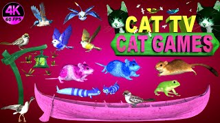 CAT GAMES COMPILATION  BEST CAT GAMES ON SCREEN  CAT ENTERTAINMENT VIDEOS MOUSE amp BIRDS 4K8 HOURS [upl. by Amilb]