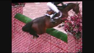 Puissance WIHS  Horse jumps 7 foot wall [upl. by Teragramyram665]