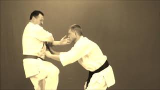 Bassai Dai Bunkai Introduction [upl. by Culver]