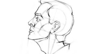 How to Draw the Head  Side View [upl. by Nnaitsirk]