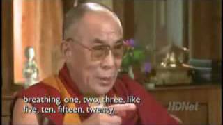 Dalai Lama  Why meditate [upl. by Nacnud]