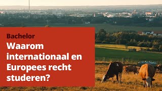 Waarom Internationaal en Europees recht studeren [upl. by Ahtnams]