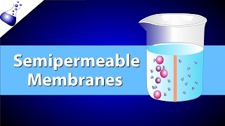 Transport Across Cell Membrane Functions of Plasma Membrane  Class 9 Biology Chapter 5 [upl. by Parthen]