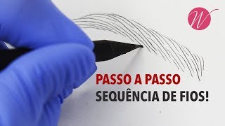 Sequência de FIOS REALISTAS passo a passo  Microblading e Micropigmentação  SérieFioaFio [upl. by Barry174]