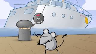 Rat Guards for ropes 🐭🚫 stop rats on board [upl. by Decker]