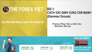 BÀI 1 CÁCH XÁC ĐỊNH VÙNG CẢN MẠNH Ebenezer Dsouza [upl. by Ayinat227]