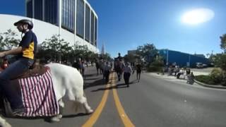 360 Veterans Day parade in downtown Sarasota [upl. by Inga]