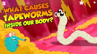 What Causes Tapeworms Inside Our Body  Tapeworm Infection  The Dr Binocs Show  Peekaboo Kidz [upl. by Cazzie]