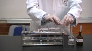 Biurets test Part 2 Identification of Proteins [upl. by Rennob777]