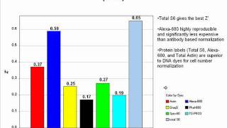 Use of the InCell Western Assay on RNAi Screens and RNAi Knockdowns NIR Cellbased Imaging [upl. by Zacek]