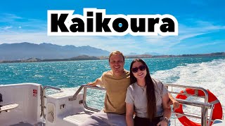 New Zealand’s best sea life hotspot KAIKOURA🇳🇿 [upl. by Frolick]