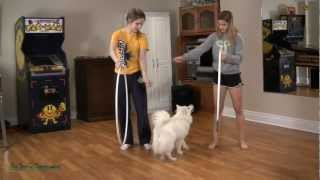 Basic Hula Hooping Tutorial  Fun with Hula Hoop Tricks [upl. by Alexandria]