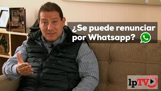 Todo sobre la renuncia ¿Se puede renunciar al trabajo por WhatsApp [upl. by Wivina93]