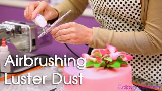 How to Use Luster Dust with an Air Brush on a Cake [upl. by Akel]