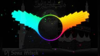 Janam  Fida  E  Haideri by Sadiq Hussain Dj Remix [upl. by Batish472]