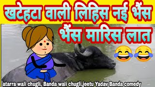 Khatehta wali ke nai bhais  atarra wali chugli Banda wali chugli [upl. by Fugere]