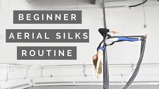 Aerial Silks Beginner Choreography to Winter Song [upl. by Anamor48]