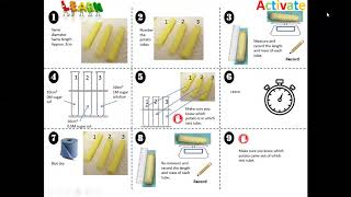 Y10 GCSE Combined Science  cell transport amp RPA 2 osmosis [upl. by Ilatan]