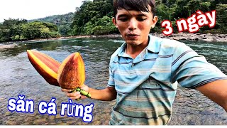 3 Ngày 3 Đêm Săn Cá Lăng Rừng NHIỆT ĐỚI Sang Vlog  phần 1 [upl. by Dahsraf663]