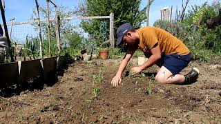 Why I love simply countryside life starting the garden making homemade cheese fixing a bicycle [upl. by Alaet]