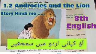 12Androcles and the Lion story in UrduHindistd 8th English مکمل اردو وضاحت کے ساتھ [upl. by Hernardo]