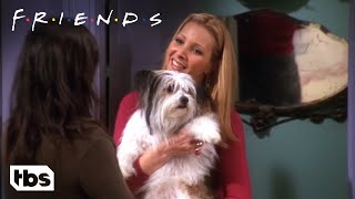 Chandler Doesn’t Like Dogs Clip  Friends  TBS [upl. by Chader]