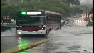 Mucha lluvia e inundaciones en Montevideo Uruguay 02032024 [upl. by Inej]