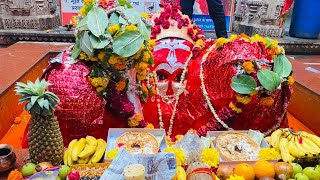 Kaniwada Hanumanji Mandir Jalore  कानिवाड़ा हनुमानजी मन्दिर  भक्तों की हर मनोकामनाए पूरी होती है 🙏 [upl. by Aidnyl]