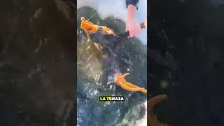 Chicos encuentran SORPRESA en Lago Congelado shorts [upl. by Kuhlman]