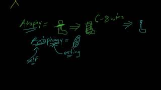 3  Introduction to Pathology  Atrophy Metaplasia [upl. by Aivekahs]