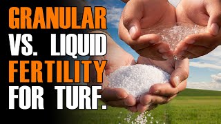 Granular vs Liquid Programs for Turfgrass [upl. by Nob]