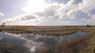 Parc naturel des HautesFagnesEifel  vidéo 360° [upl. by Eenitsed]