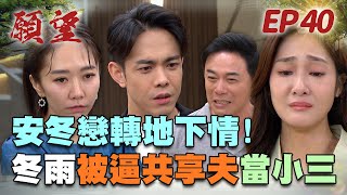 願望 EP40 完整版｜企業聯姻進行中！冬雨被逼當地下情人 添貴竟爆揍安迪？！美妍厚臉皮無上限 當眾挑釁正宮！｜Desires｜【蘿琳亞塑身衣】 [upl. by Zetnas999]