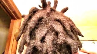 DREADS AREUS FREEFORM [upl. by Dlanar734]