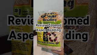 Review substrat ular terbaik cornsnake snake indonesia reptiles colubrid review shorts [upl. by Swigart293]