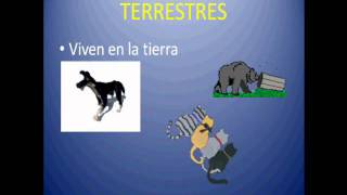 Clasificación de los animales  grado primero [upl. by Tolland]