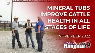 Mineral Supplement Tubs Improve Cattle Health in All Stages of Life  The American Rancher [upl. by Hey]