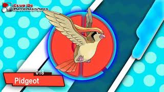 018 PIDGEOT POKEDEX [upl. by Ostler]