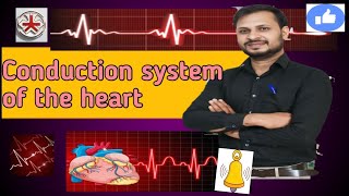 Heart conduction system amp electric wiring diagram [upl. by Mindi]