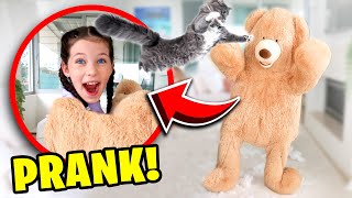 GIANT TEDDY BEAR PRANK ON OUR PETS The Empire Family [upl. by Aelrac]